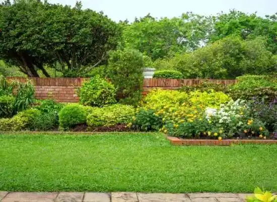 landscaping services Plano